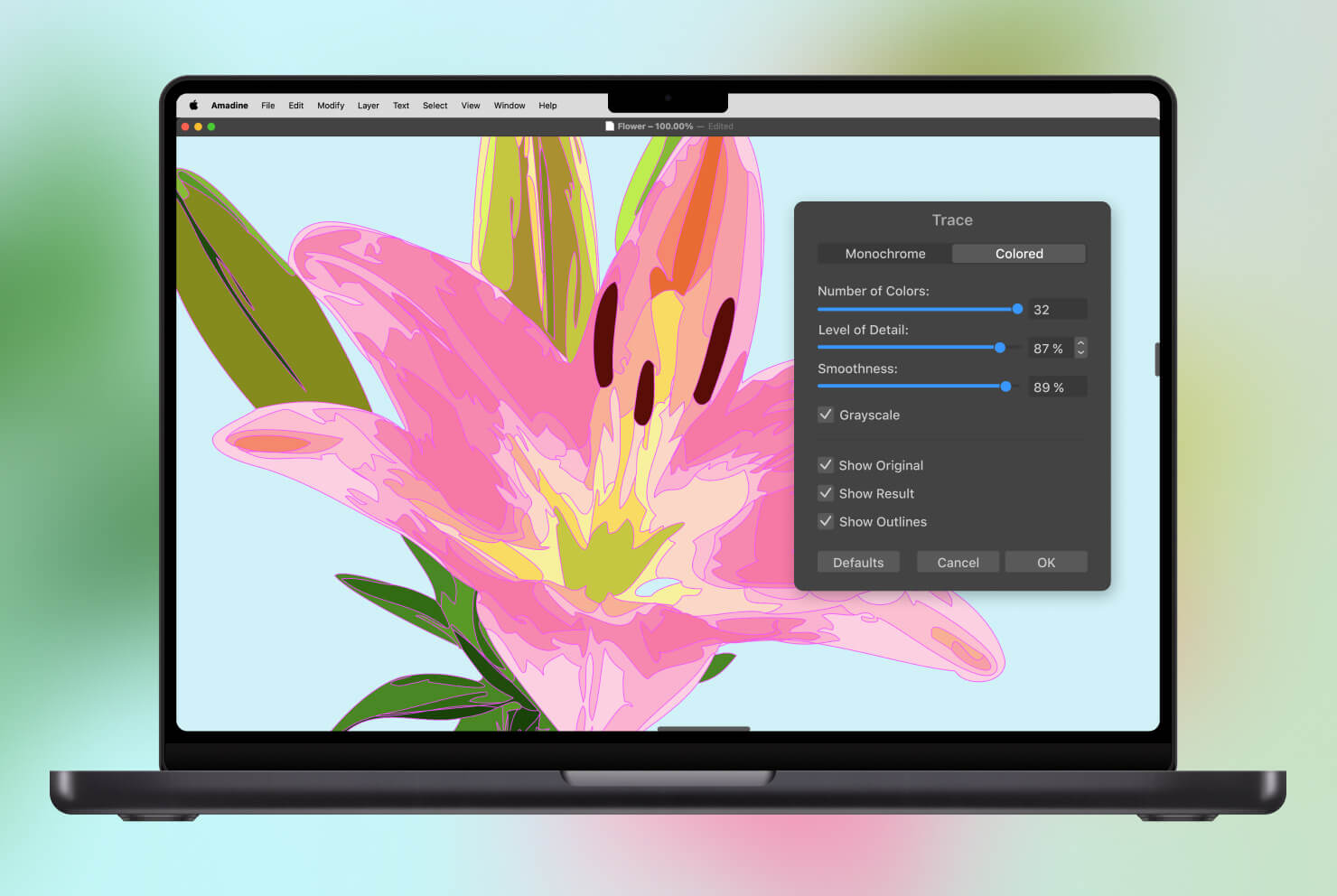 Amadine vectorizer tool displaying a traced flower image with adjustable color, detail, and smoothness settings on a Mac.