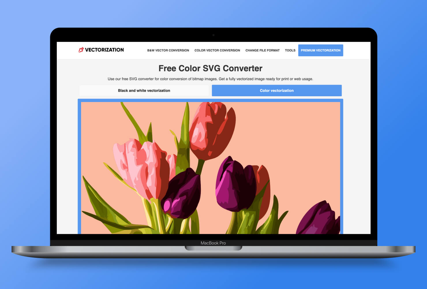 MacBook Pro with Vectorization interface.