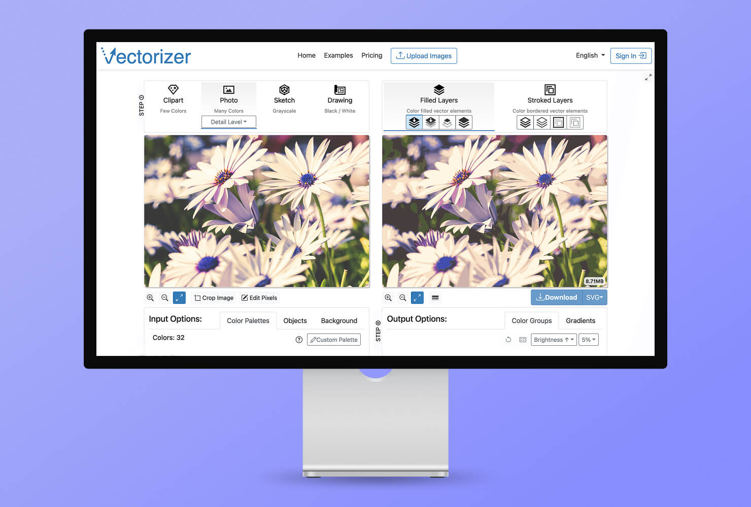 iMac with Vectorizer interface.