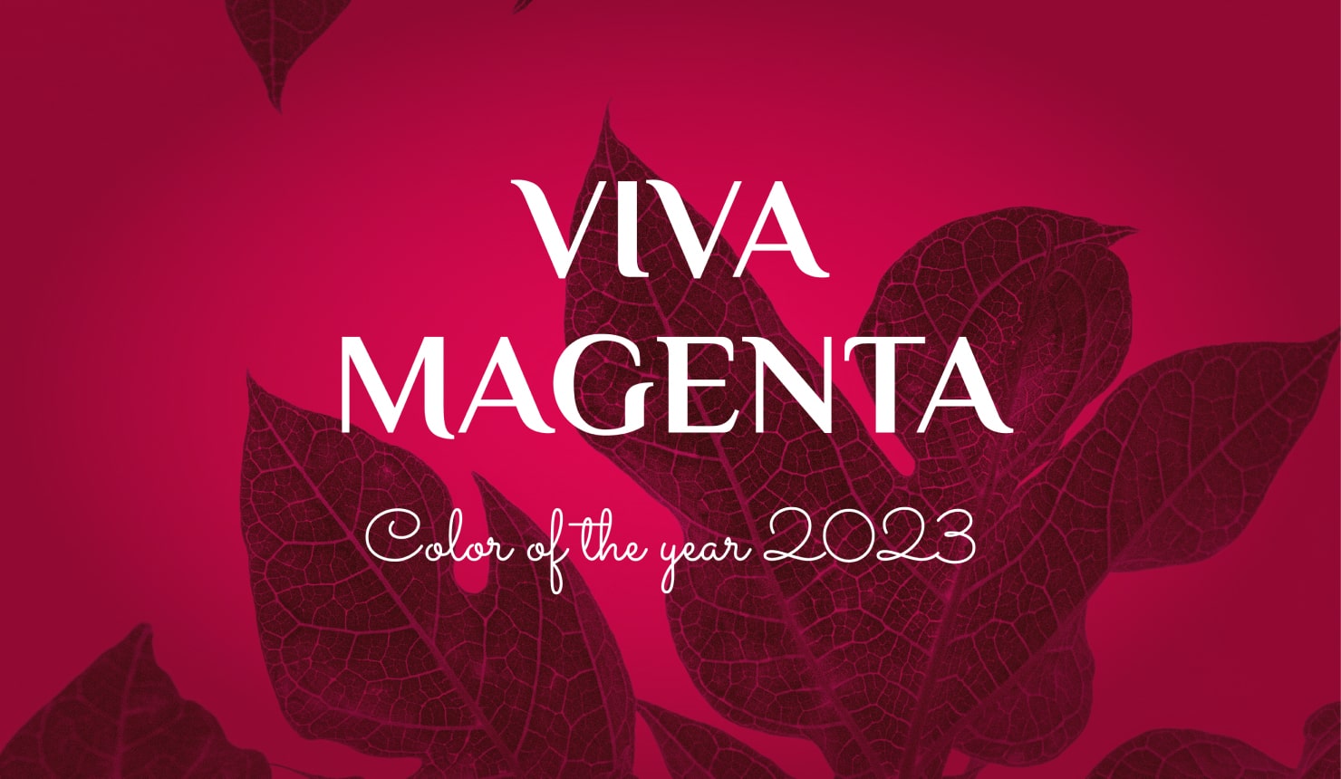 Pantone color of 2023 Viva Magenta