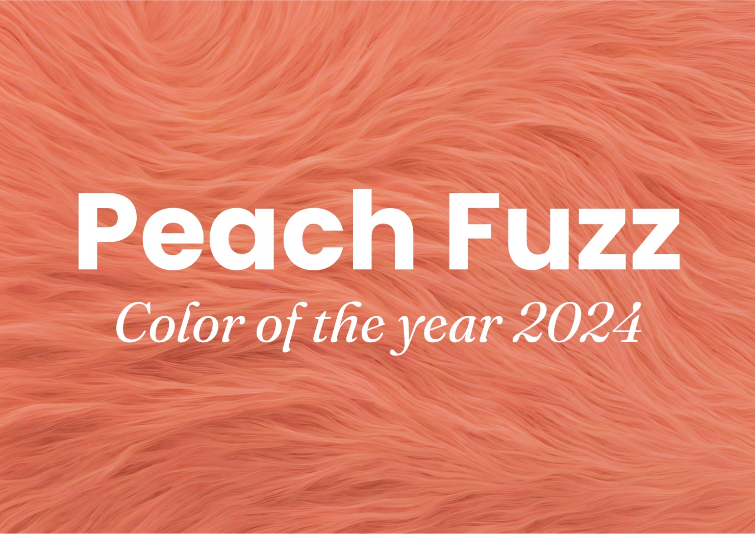 Pantone color of 2024 Peach Fuzz