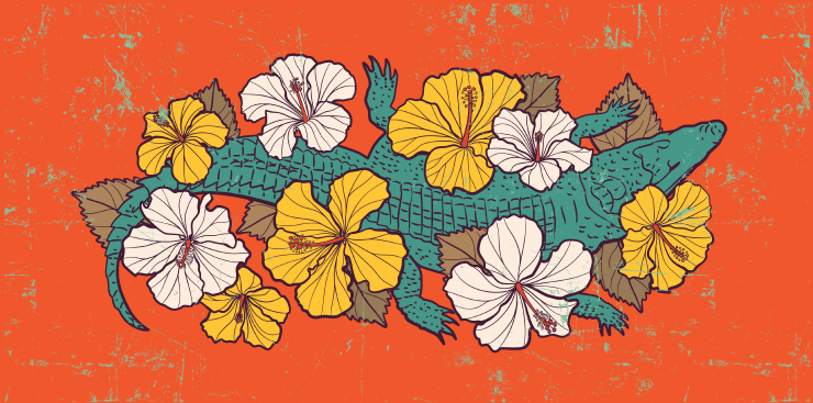 Orange Palette in the illustration