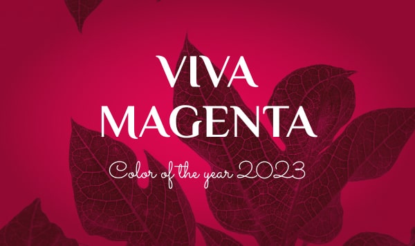 Preview image for Pantone’s Viva Magenta: The Best Crimson Color Combinations article.