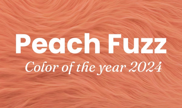 Preview image for Pantone’s Peach Fuzz: The Best Peach Color Combinations article.