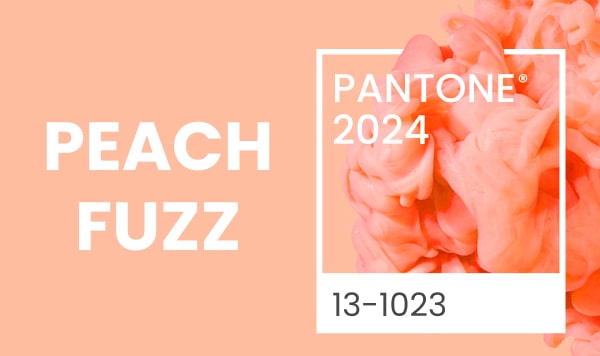 Preview image for What Are Pantone Colors and Where to Use Them article