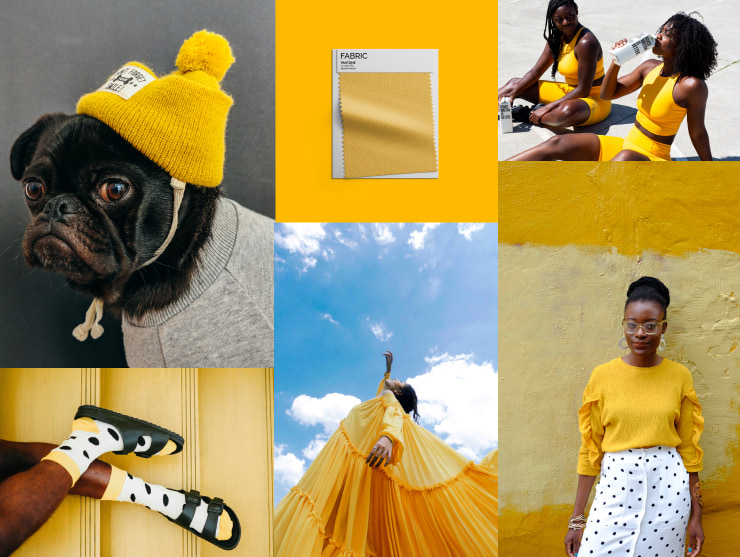 Pantone color moodboard.