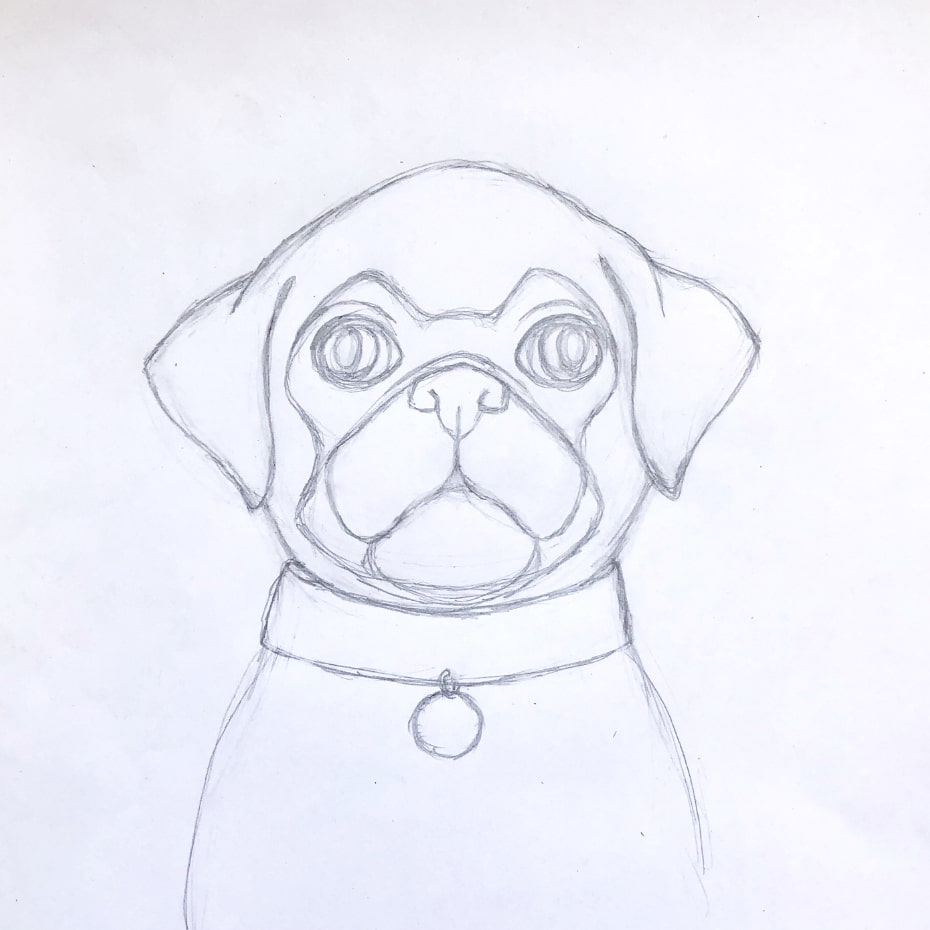 How to draw a Pug Cute Very Easy and separately his Face