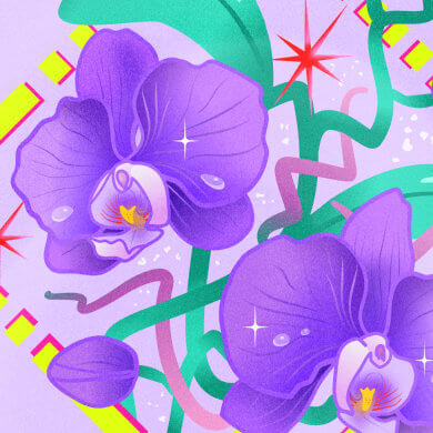 Orchids illustration by Olha Voronova.