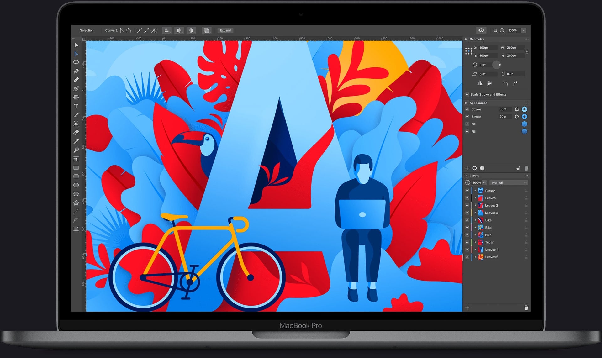 Download Vector Graphic Design Software For Mac Ipad And Iphone Amadine