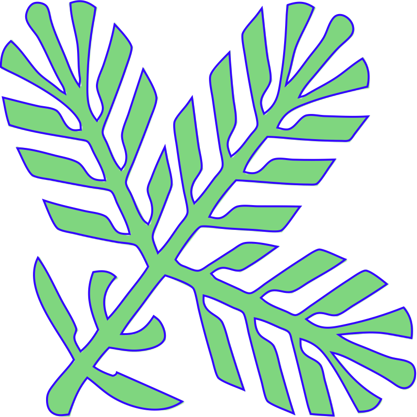 Result of vectorization with low Smoothness