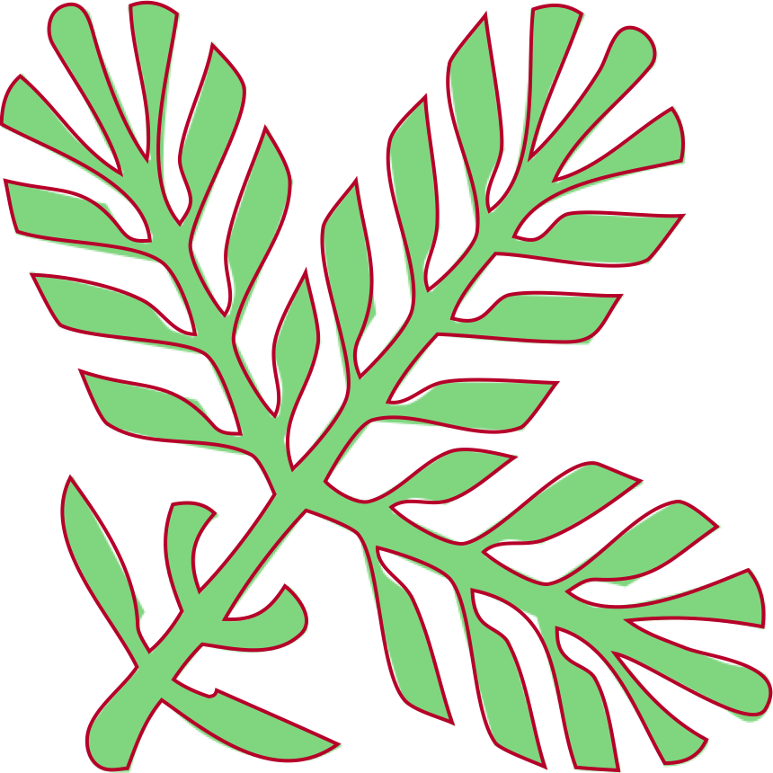 Result of vectorization with high Smoothness
