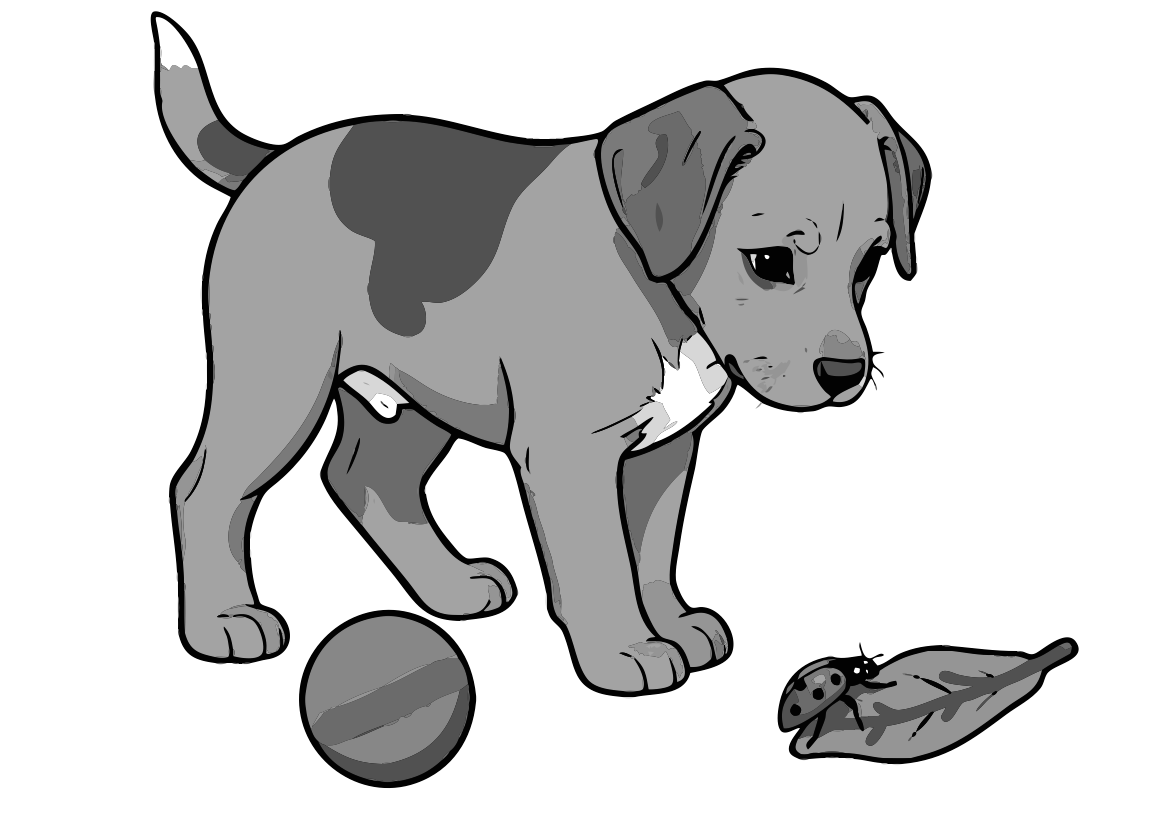 Result of grayscale vectorization